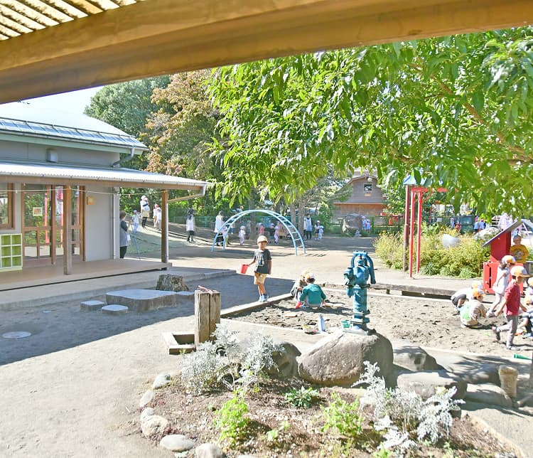 みなみの森保育園の環境